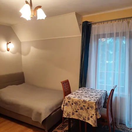 Goscinne Centrum Brzozowa 14 Pansiyon Zakopane