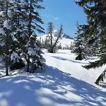 Goscinne Centrum Brzozowa 14 * Zakopane