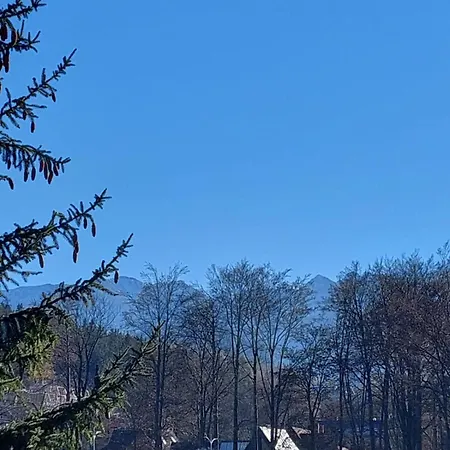 Goscinne Centrum Brzozowa 14 Zakopane