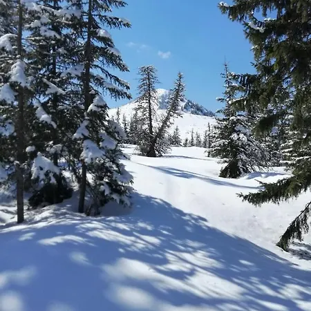 Goscinne Centrum Brzozowa 14 * Zakopane