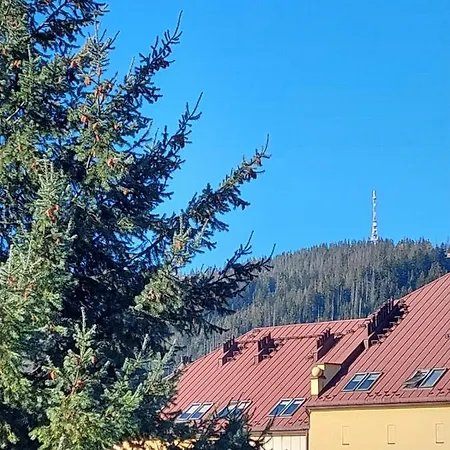 Goscinne Centrum Brzozowa 14 Homestay *