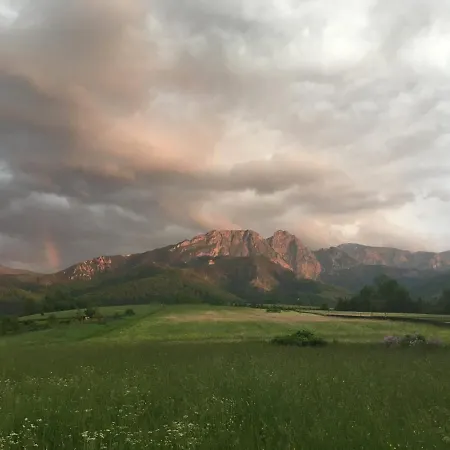 Goscinne Centrum Brzozowa 14