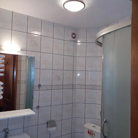 Goscinne Centrum Brzozowa 14 * Zakopane