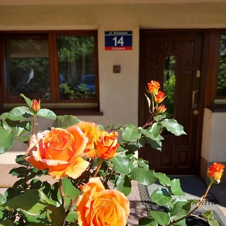 Goscinne Centrum Brzozowa 14 Homestay