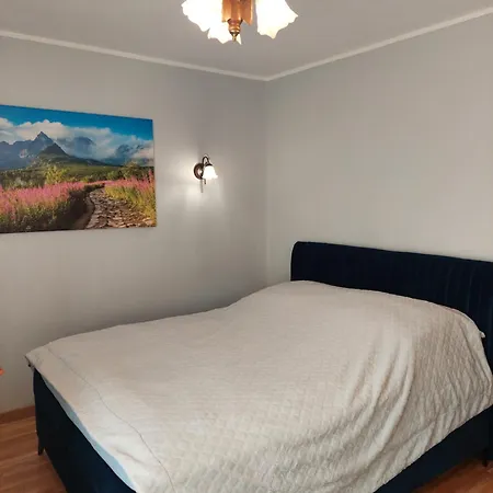 Goscinne Centrum Brzozowa 14 *