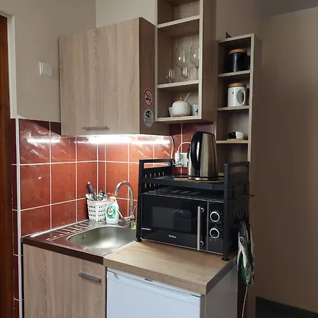 Goscinne Centrum Brzozowa 14 * Закопане