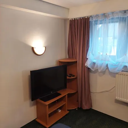Goscinne Centrum Brzozowa 14 * Zakopane
