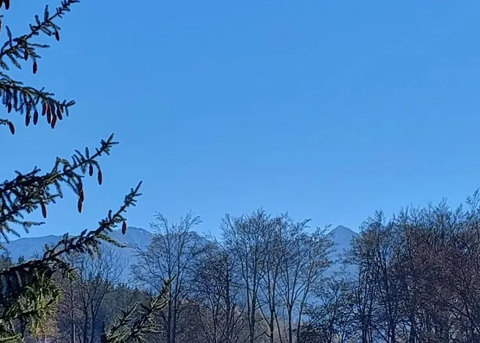 Goscinne Centrum Brzozowa 14 扎科帕内