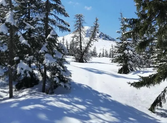 Goscinne Centrum Brzozowa 14 * Zakopane