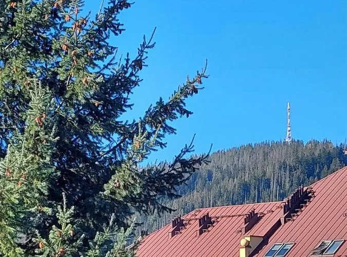 Goscinne Centrum Brzozowa 14 民宿 *