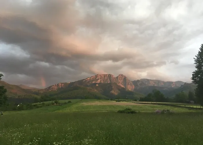 Goscinne Centrum Brzozowa 14