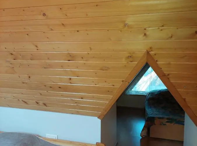 Goscinne Centrum Brzozowa 14 民宿 扎科帕内