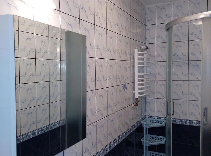 Goscinne Centrum Brzozowa 14 民宿 扎科帕内