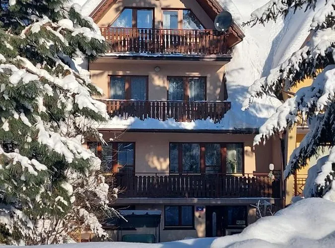 Goscinne Centrum Brzozowa 14 民宿 *