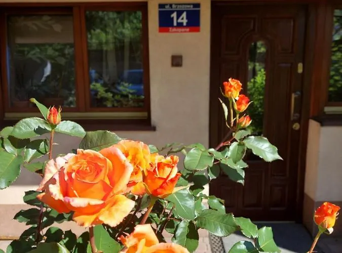 Goscinne Centrum Brzozowa 14 Privat bolig