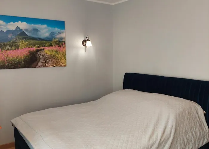 Goscinne Centrum Brzozowa 14 *