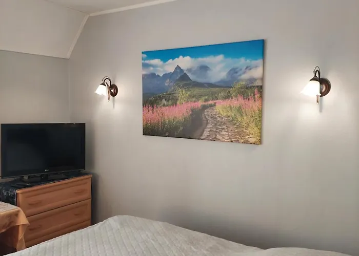 Goscinne Centrum Brzozowa 14 扎科帕内