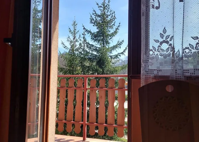 Goscinne Centrum Brzozowa 14 民宿