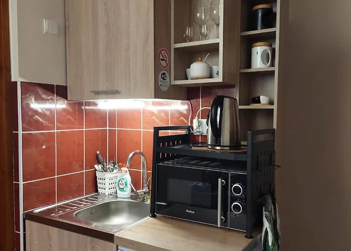 Goscinne Centrum Brzozowa 14 * Zakopane