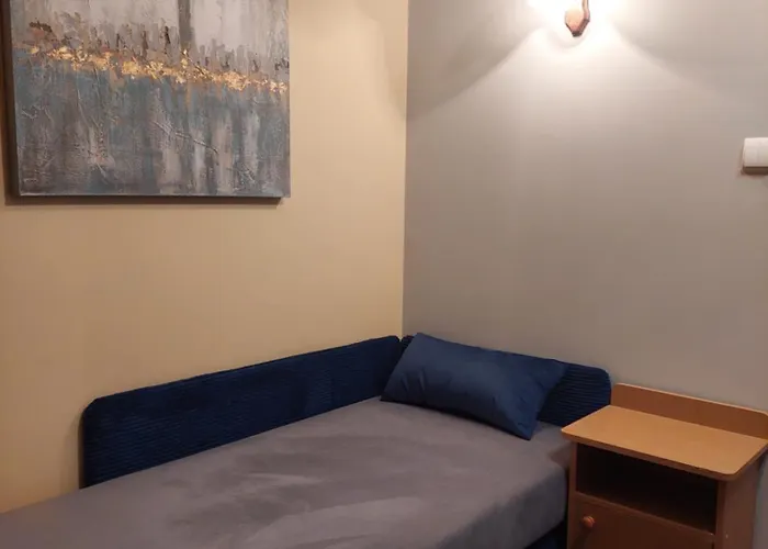 民宿 Goscinne Centrum Brzozowa 14 扎科帕内