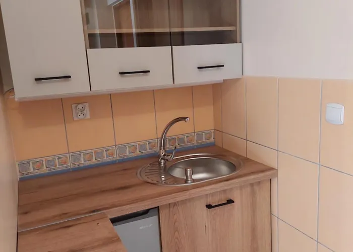 Goscinne Centrum Brzozowa 14 Privat bolig