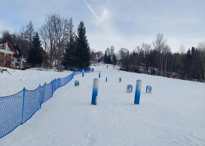 Goscinne Centrum Brzozowa 14 民宿