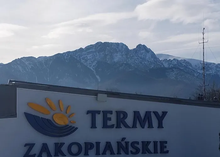 Goscinne Centrum Brzozowa 14 *