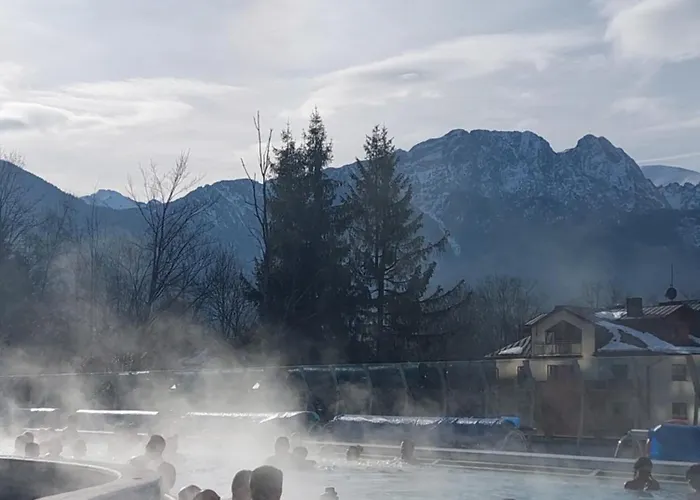 Goscinne Centrum Brzozowa 14 *